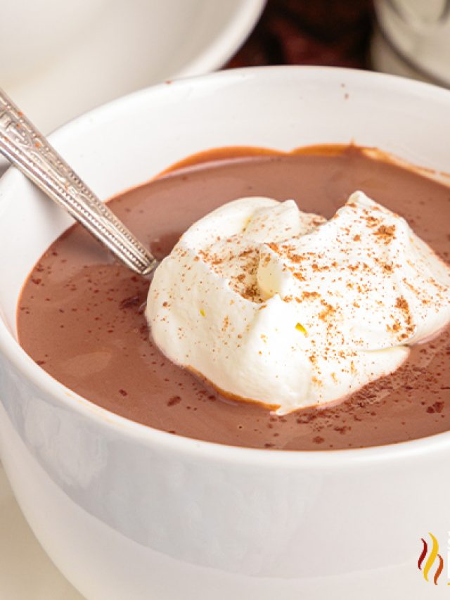 thick hot chocolate in mug with whipped cream