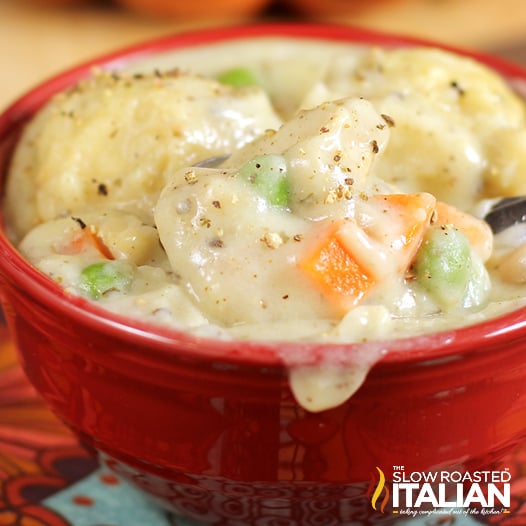 chicken and dumplings in a red bowl