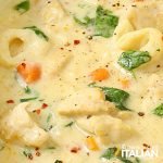 closeup of chicken alfredo soup