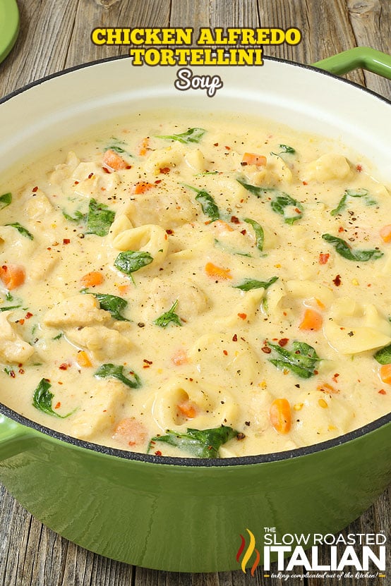 Alfredo Chicken Tortellini Soup + Video