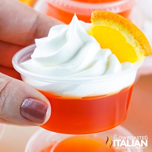 Mimosa Champagne Jello Shots-image