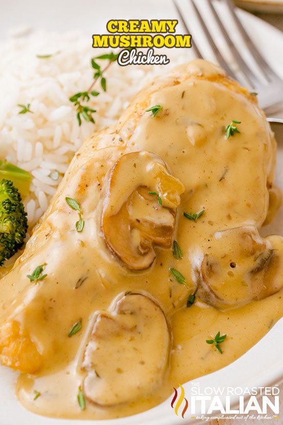 creamy mushroom chicken on a plate of white rice