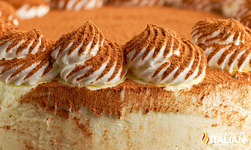 closeup: tiramisu cake topped with frosting swirls and cocoa powder