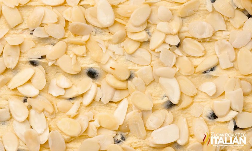 close up: blueberry cake batter topped with sliced almond