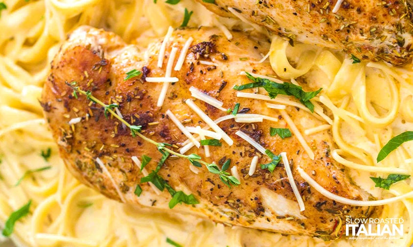 close up: seasoned seared chicken breast over pasta with sauce
