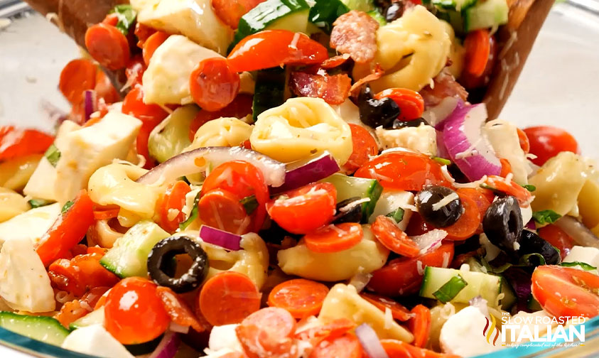 close up of pizza pasta salad with tortellini