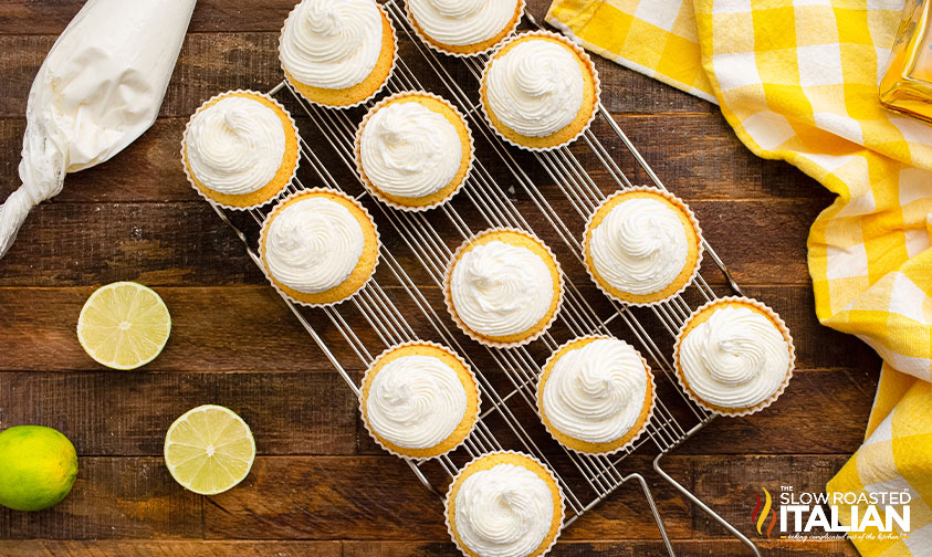 iced boozy margarita cupcakes