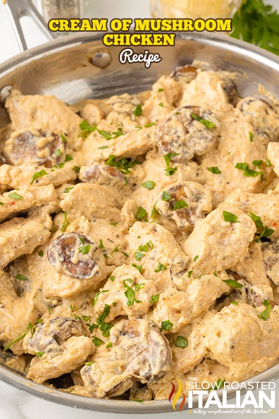 Creamy Mushroom Chicken Recipe