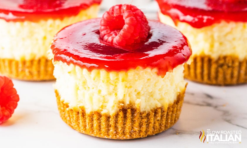 beautiful raspberry mini cheesecake
