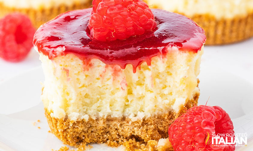 mini raspberry cheesecake with fresh raspberries