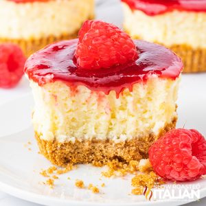 mini raspberry cheesecake on a white plate