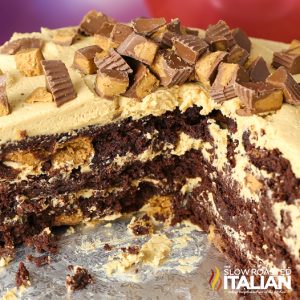 Reese's Peanut Butter Cup Extreme Brownie Cake closup