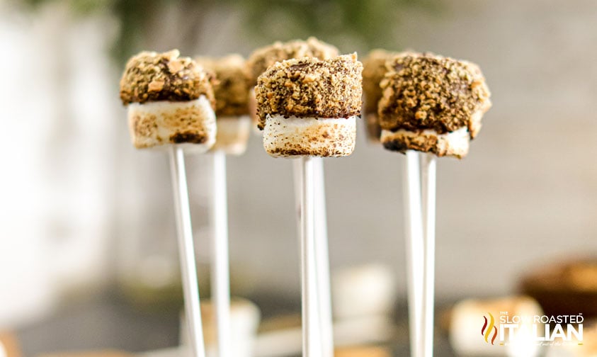smores on a stick in a cake pop stand