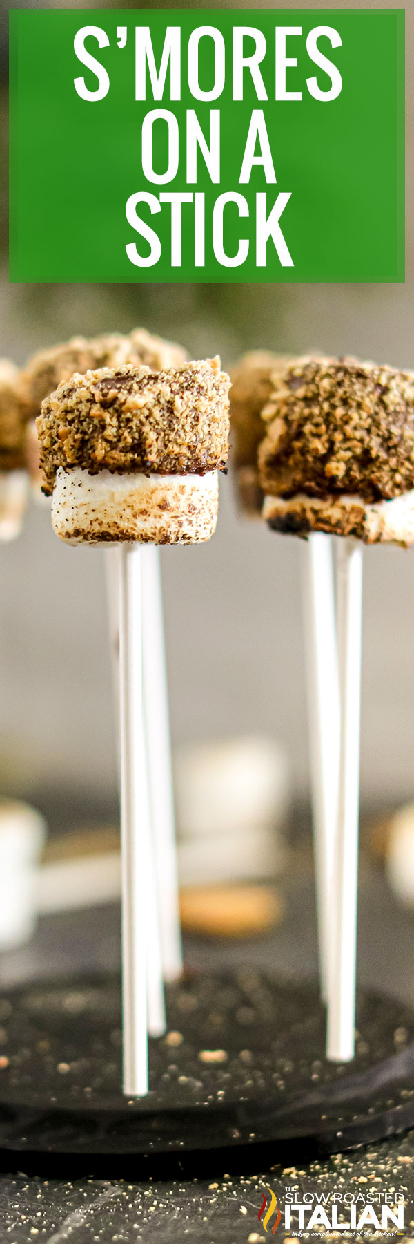 Smores on a stick -pin