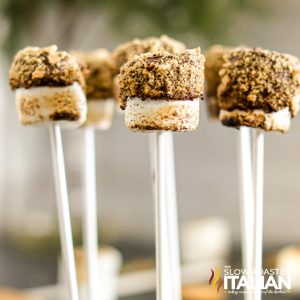 smores on a stick