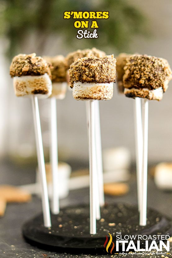 titled: smores on a stick