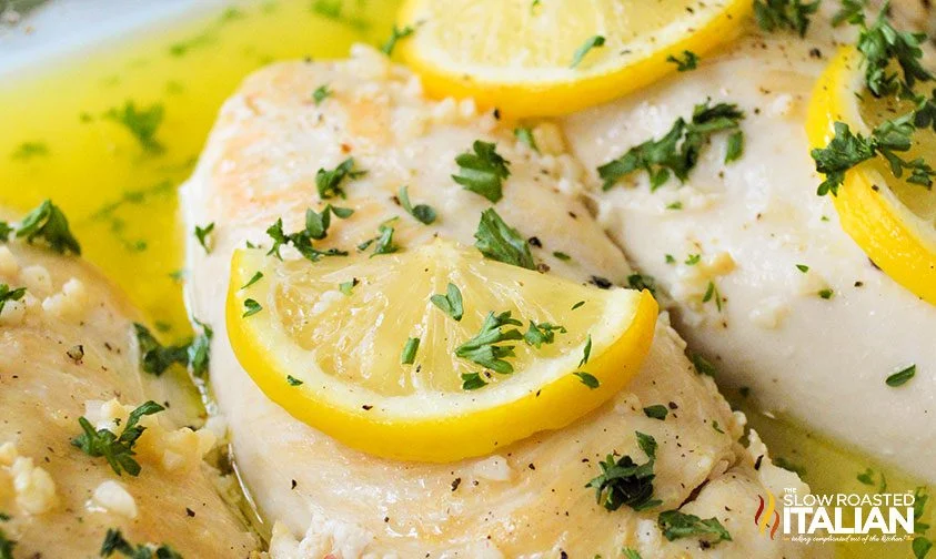 baked chicken topped with lemon slices in sauce