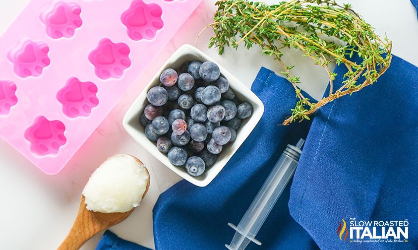 everything needed to make blueberry thyme frozen dog treats