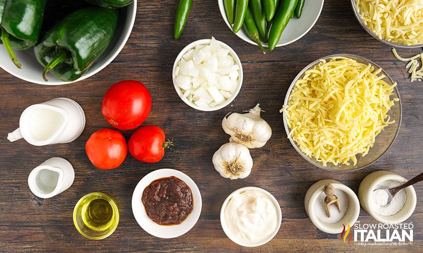 ingredients to make copycat Chipotle queso