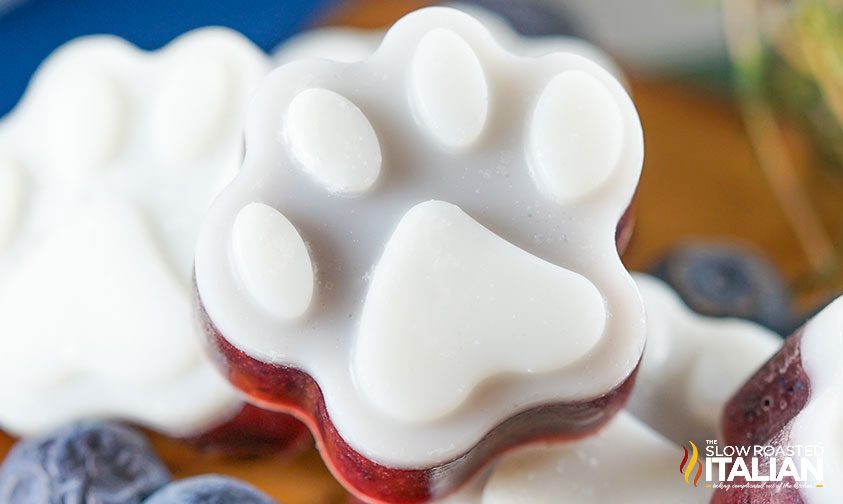 close up: blueberry and coconut oil frozen dog treat