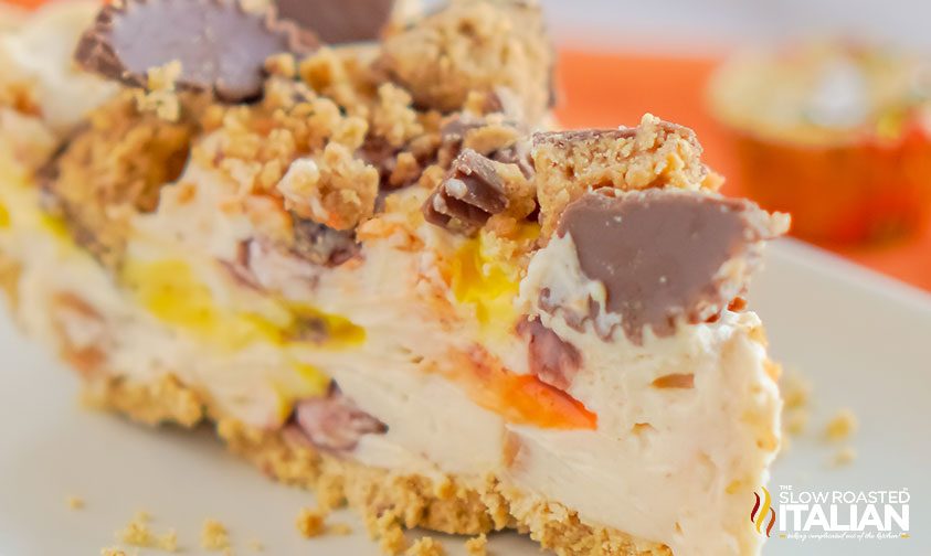 slice of pb cheesecake with candies inside and on top