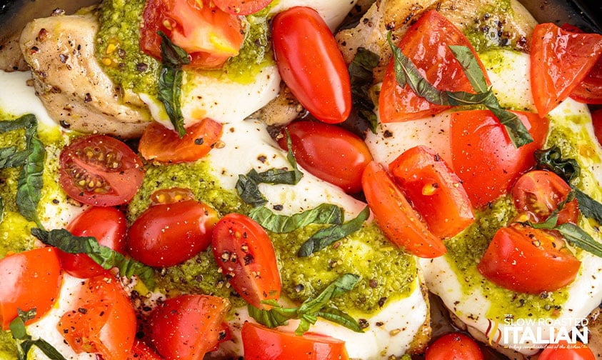close up: grilled chicken with mozzarella, pesto, and tomatoes