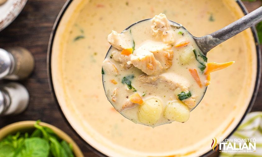close up: ladle of chicken and gnocchi soup