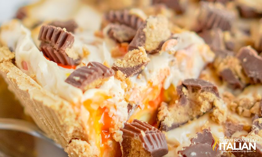lifting out a slice of no bake peanut butter cheesecake