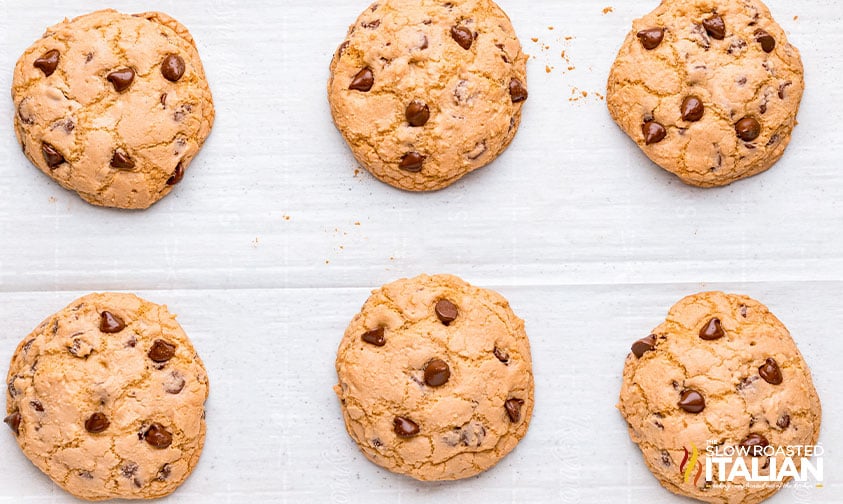 baked grand floridian chocolate chip cookies