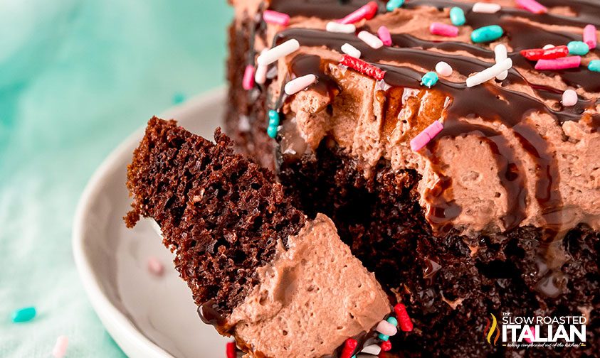 closeup: slice of chocolate poke cake topped with sprinkles