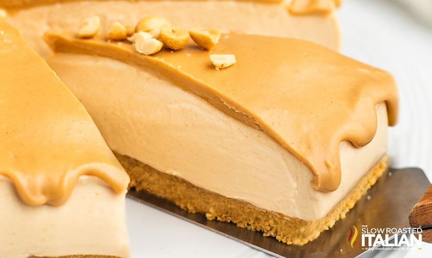 slice of peanut butter cheesecake