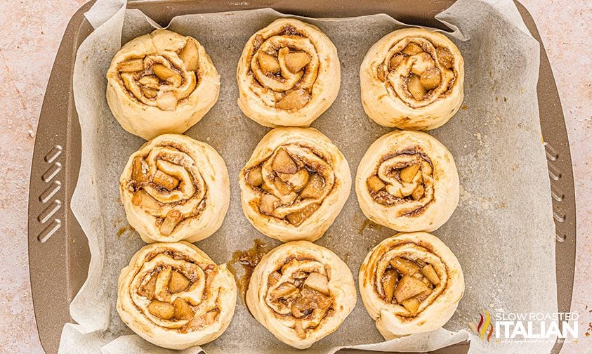 apple cinnamon rolls placed on parchment in deep square pan