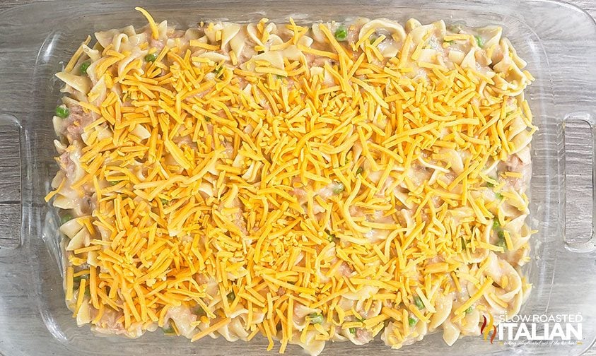 cheesy tuna noodle casserole, before baking