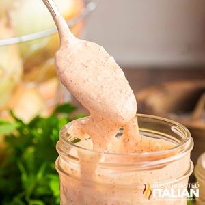 blooming onion copycat sauce closeup