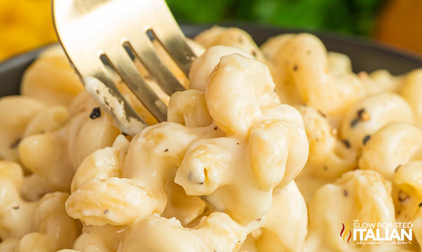 closeup of panera mac and cheese copycat with fork