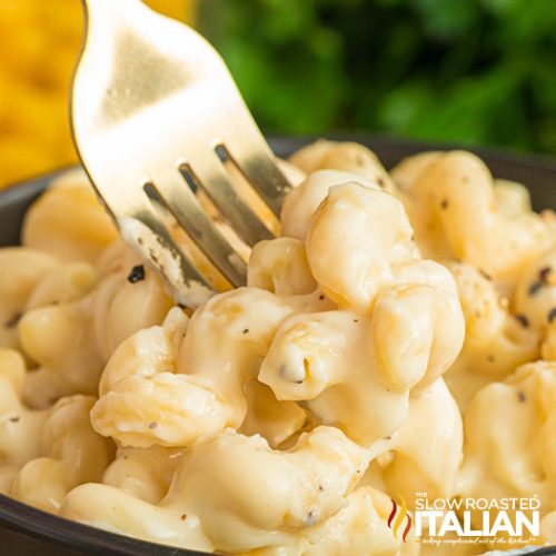 Panera Mac and Cheese (Copycat Recipe) The Slow Roasted Italian