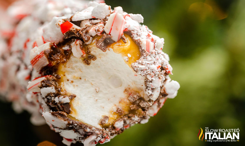 closeup of inside peppermint marshmallow on a stick