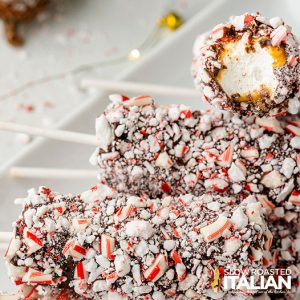 Closeup of Disney peppermint marshmallow on a stick