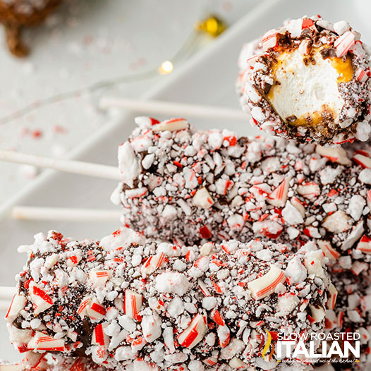 Peppermint Marshmallow on a Stick (Copycat Disney Recipe)-image