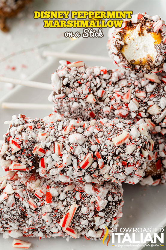 Disney Peppermint Marshmallow on a Stick