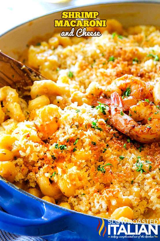 Shrimp Mac and Cheese