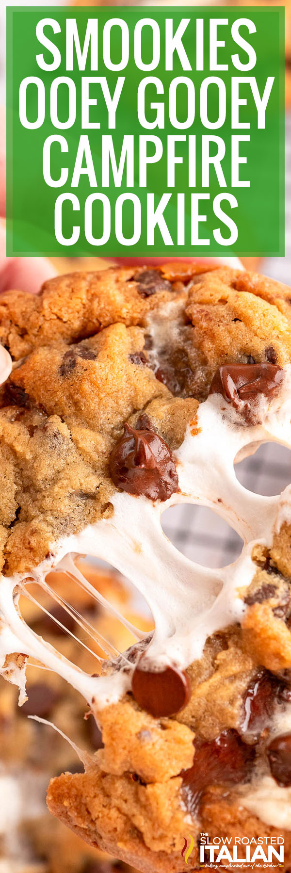 Smookies Ooey Gooey Campfire Cookies - Pin