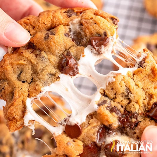 Campfire Chocolate Chunk Cookie - Fresh Off The Grid