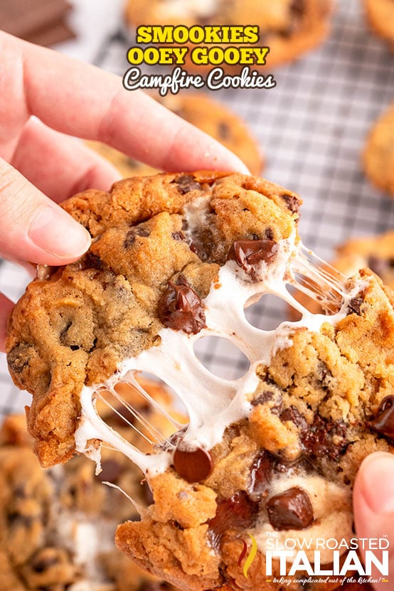 Titled Image: Smookies Ooey Gooey Campfire Cookies