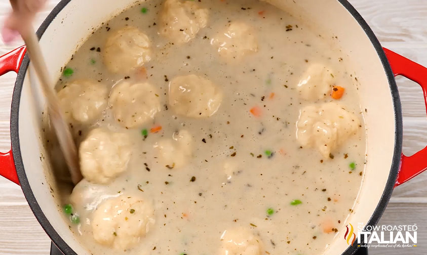 stirring dumplings into pot of chicken soup