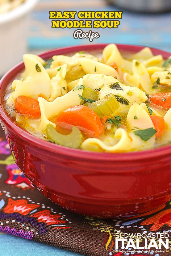 Titled Image: Easy Chicken Noodle Soup Recipe