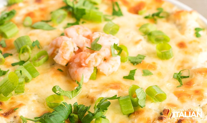 closeup of hot shrimp dip