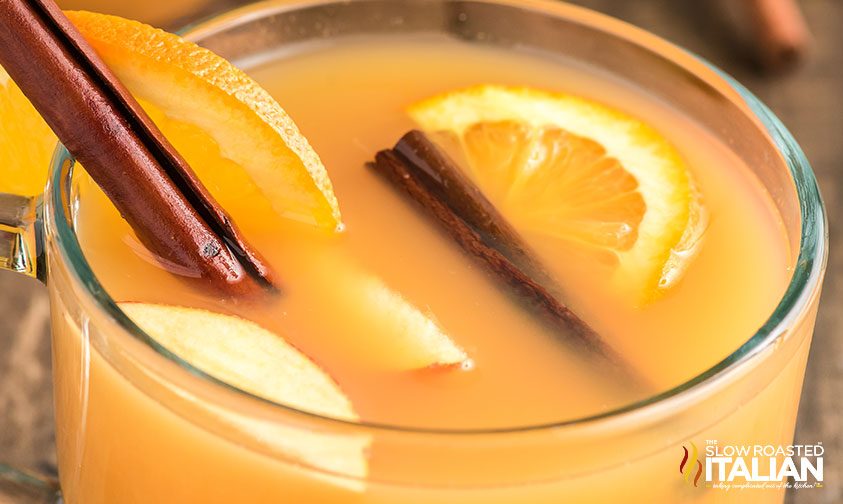 clear mug of cider with fruit and cinnamon sticks