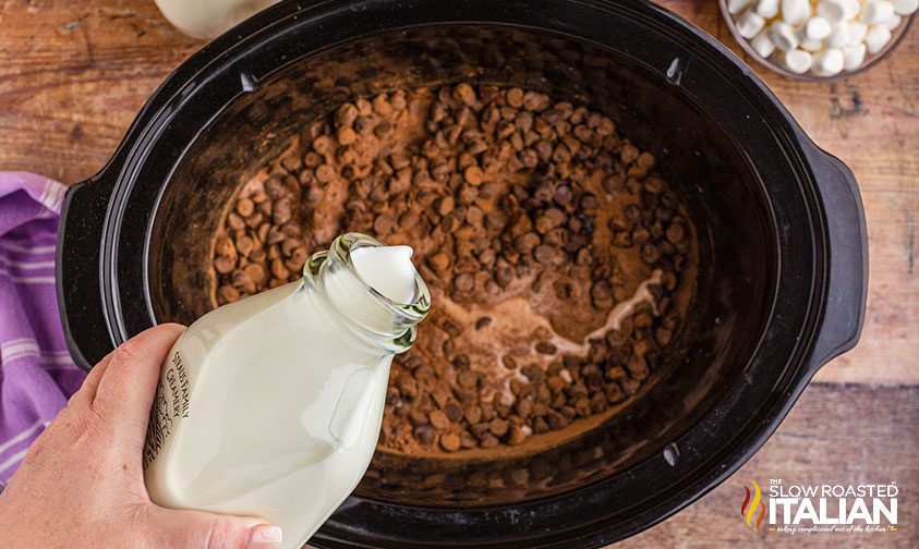 Slow Cooker Hot Chocolate • The Diary of a Real Housewife