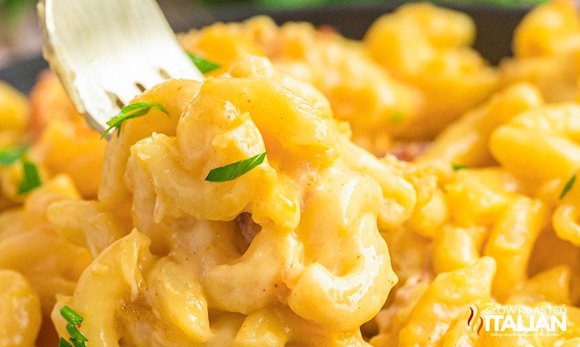 closeup of mac and cheese on a fork